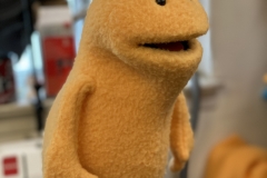 20210701_155940437_iOS