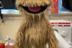 20210806_212600623_iOS