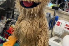 20210806_212612862_iOS