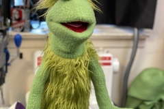 20210817_170541872_iOS