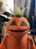 20210908_153920970_iOS
