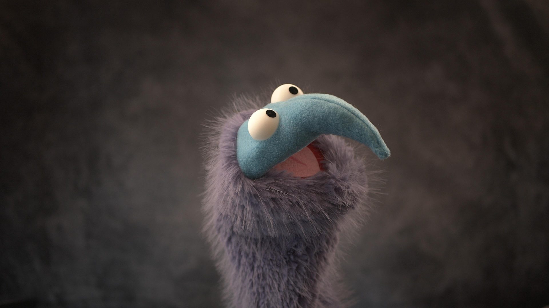 Sonk Puppets! Practice Hand Puppet (purple & blue) – Operation: Puppet