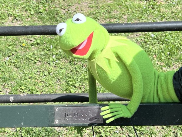 Legally Distinct Celebrity Amphibian