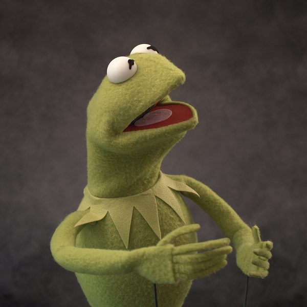 Legally Distinct Celebrity Amphibian