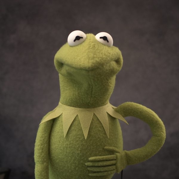 Legally Distinct Celebrity Amphibian