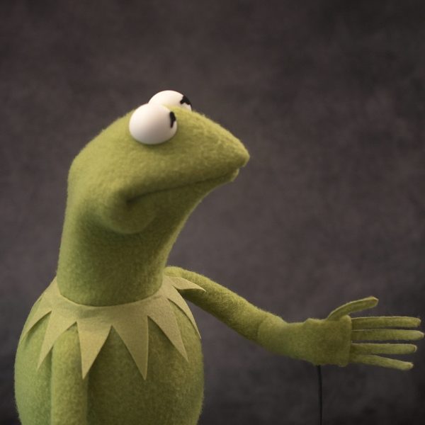 Legally Distinct Celebrity Amphibian