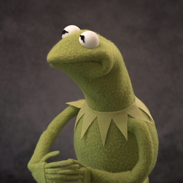 Legally Distinct Celebrity Amphibian