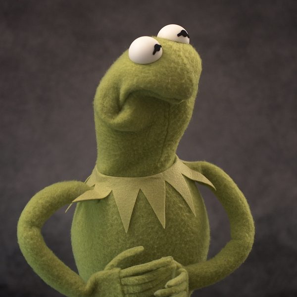 Legally Distinct Celebrity Amphibian