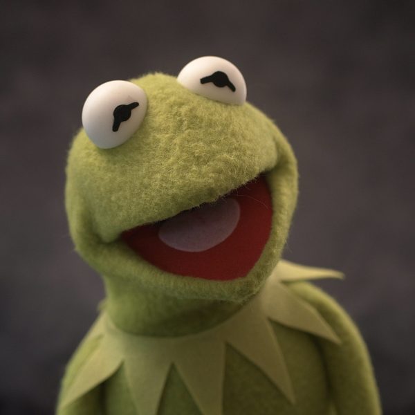 Legally Distinct Celebrity Amphibian