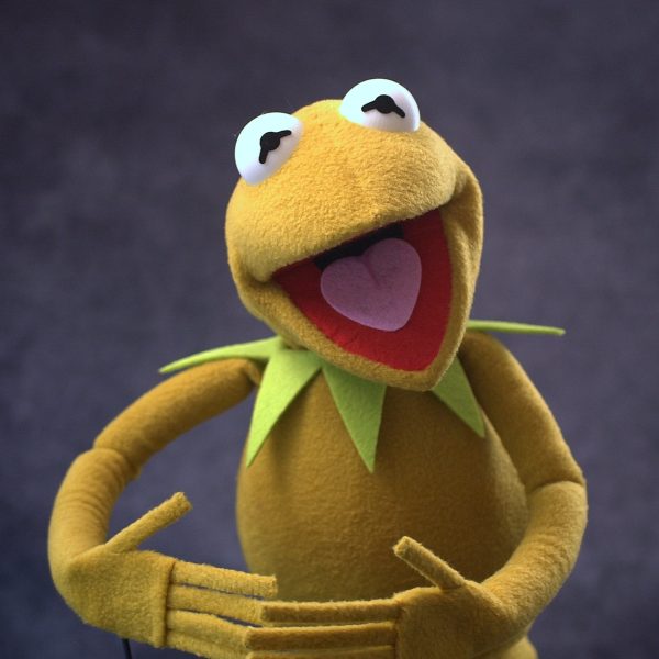 Legally Distinct Celebrity Amphibian (retro colours)