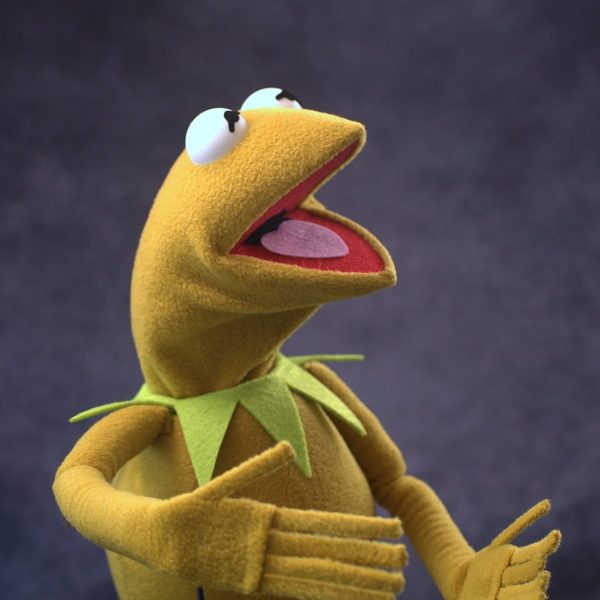 Legally Distinct Celebrity Amphibian (retro colours)