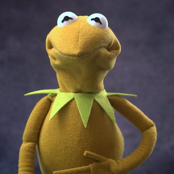 Legally Distinct Celebrity Amphibian (retro colours)