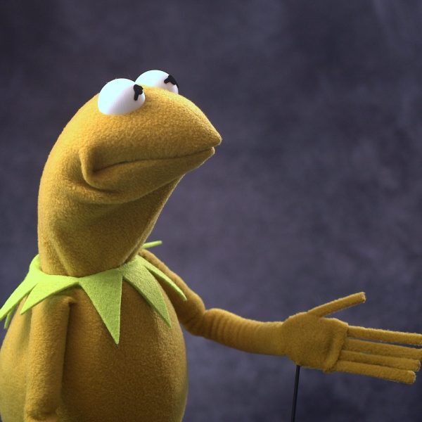 Legally Distinct Celebrity Amphibian (retro colours)