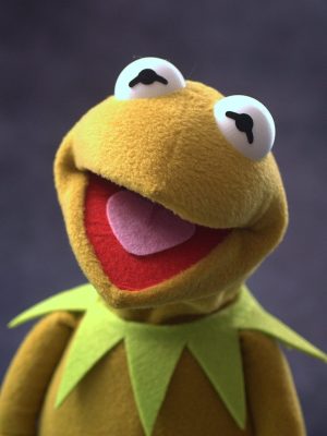 Legally Distinct Celebrity Amphibian (retro colours)