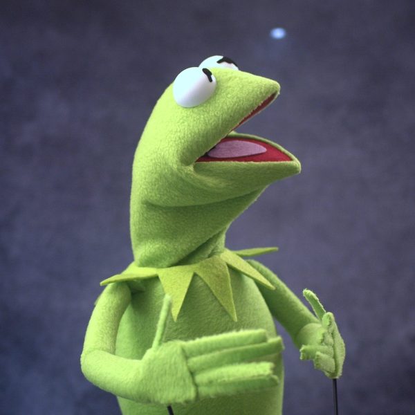 Legally Distinct Celebrity Amphibian (modern colours)