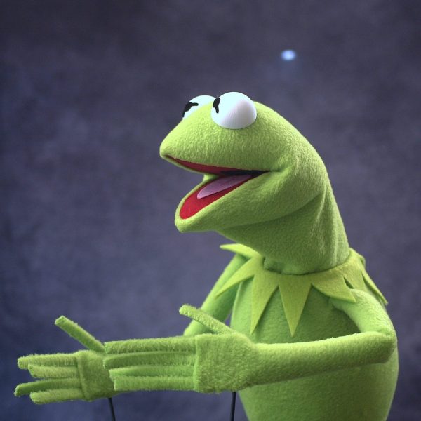 Legally Distinct Celebrity Amphibian (modern colours)