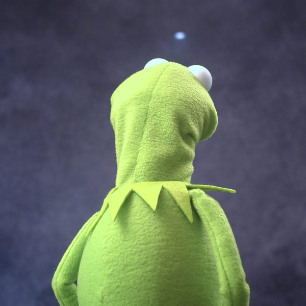 Legally Distinct Celebrity Amphibian (modern colours)