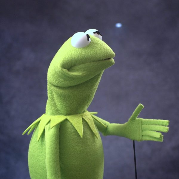 Legally Distinct Celebrity Amphibian (modern colours)