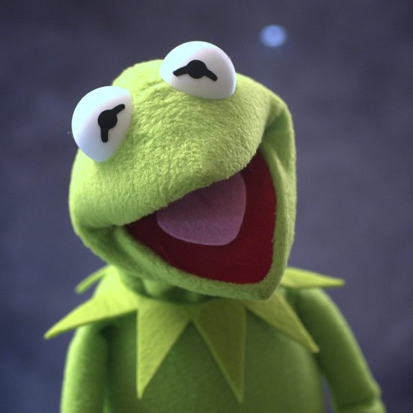 Legally Distinct Celebrity Amphibian (modern colours)