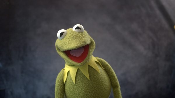 One of a Kind Deluxe Frog -- TennoCon Fundraiser