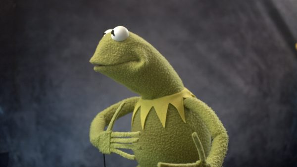 One of a Kind Deluxe Frog -- TennoCon Fundraiser