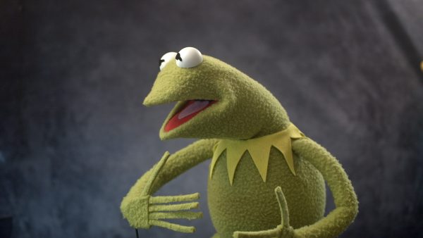 One of a Kind Deluxe Frog -- TennoCon Fundraiser