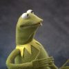 One of a Kind Deluxe Frog -- TennoCon Fundraiser