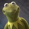 One of a Kind Deluxe Frog -- TennoCon Fundraiser