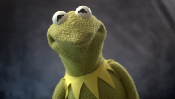 One of a Kind Deluxe Frog -- TennoCon Fundraiser