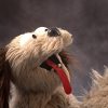 shop-f002599 Live Hands Floppy Dawg Puppet