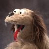shop-f002691 Live Hands Floppy Dawg Puppet