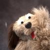 shop-f002892 Live Hands Floppy Dawg Puppet