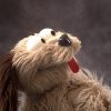 shop-f003019 Live Hands Floppy Dawg Puppet