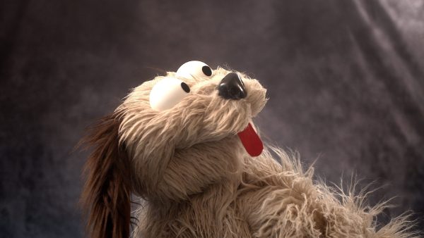 shop-f003019 Live Hands Floppy Dawg Puppet