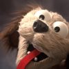 shop-f004040 Live Hands Floppy Dawg Puppet